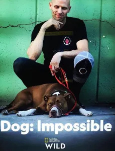 Собака: Невозможное возможно (сериал 2019)